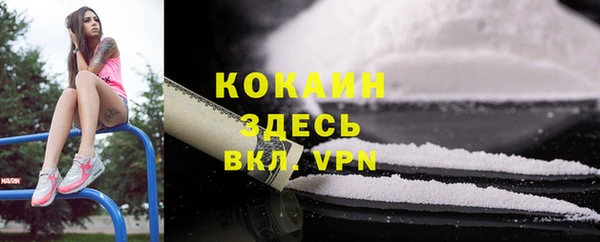 хмурый Алексин
