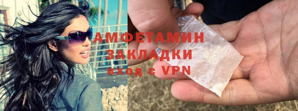 хмурый Алексин