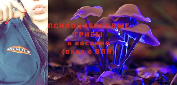 хмурый Алексин